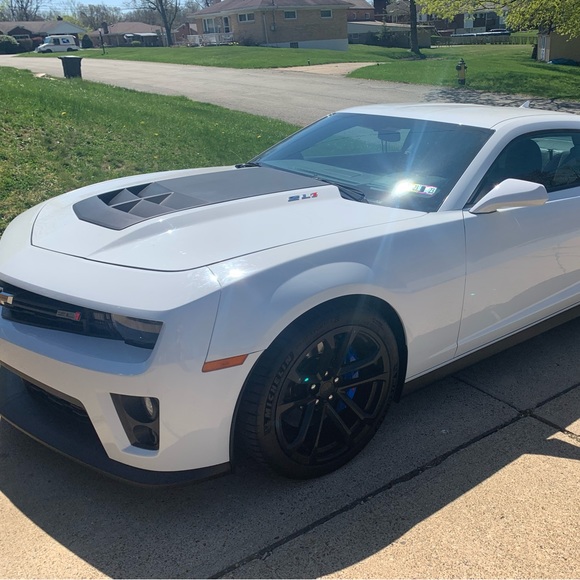 SHORTS/SHORT SETS/SHORT ROMPERS - Picture 12 of 12